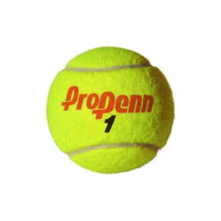 Pro Penn Marathon Regular Duty Tennis Balls -Racket Equipment Store 522102 ProPennMarathonRD ball