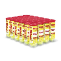 Wilson Championship Extra Duty Tennis Balls - 24 Can Case